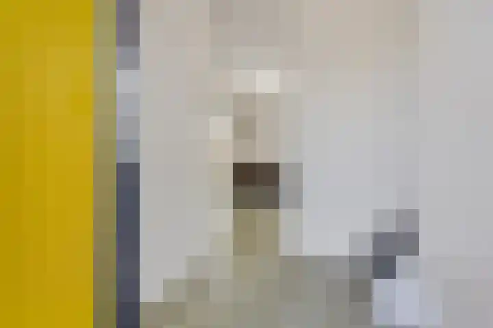 Valkhof 10 Ter Apel thumbnail 5