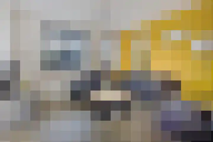 Valkhof 10 Ter Apel thumbnail 7