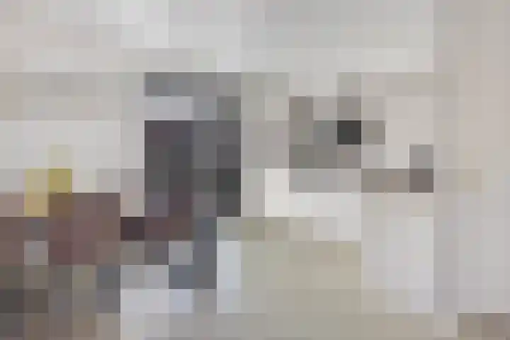Valkhof 10 Ter Apel thumbnail 9