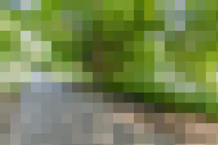 Valkhof 112 Amsterdam thumbnail 26