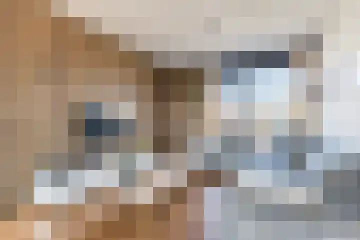 Valkhof 112 Amsterdam thumbnail 5