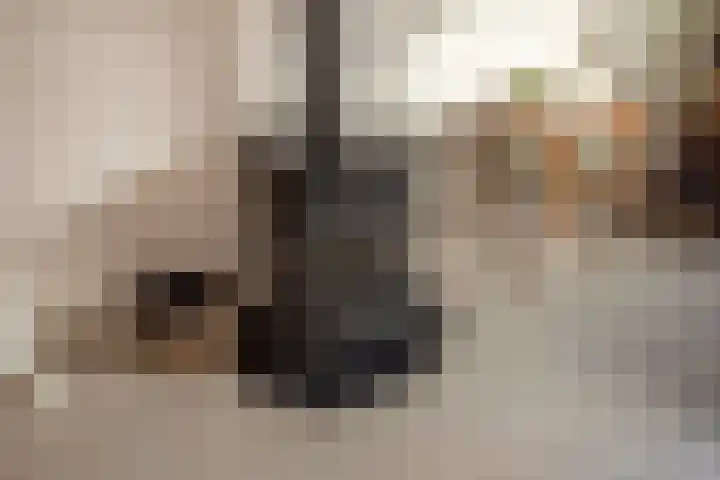 Valkhof 118 Leidschendam thumbnail 10