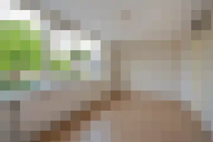 Valkhof 118 Leidschendam thumbnail 28