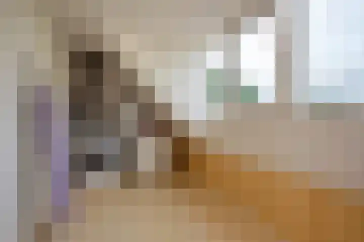 Valkhof 118 Leidschendam thumbnail 33