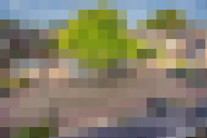 Valkhof 118 Leidschendam thumbnail 36