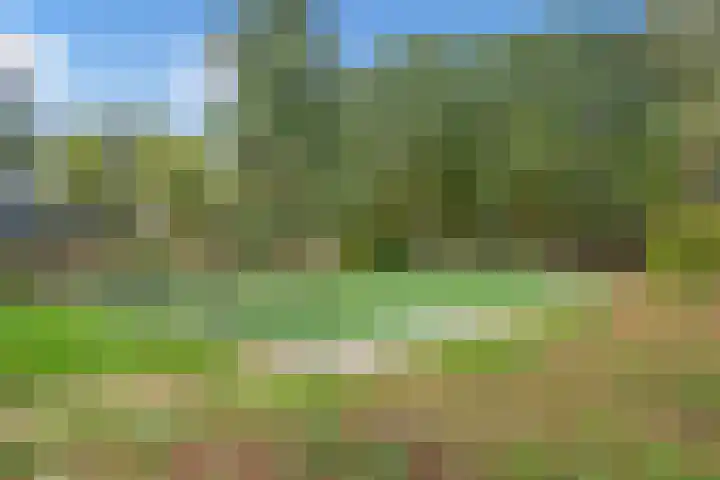 Valkhof 118 Leidschendam thumbnail 39