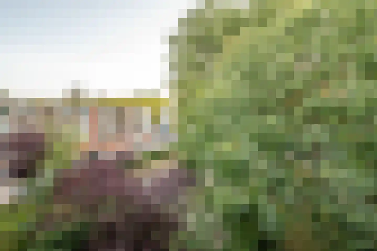Valkhof 134 Amsterdam thumbnail 9