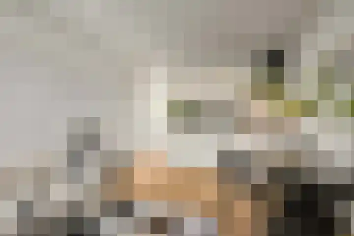 Valkhof 19 Amsterdam thumbnail 5