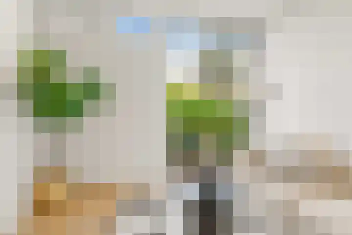 Valkhof 19 Amsterdam thumbnail 7