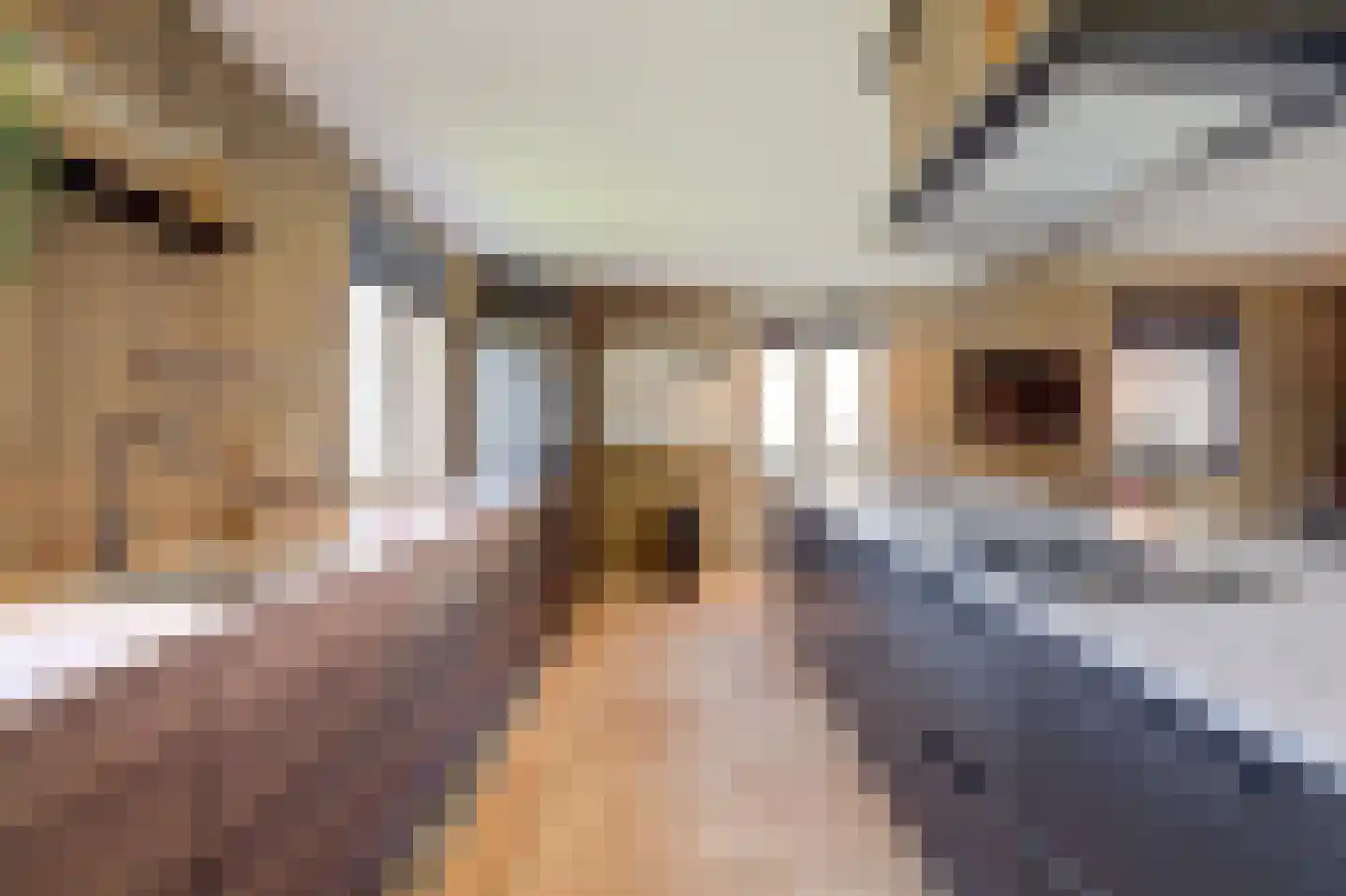 Valkhof 20 Ter Apel thumbnail 16
