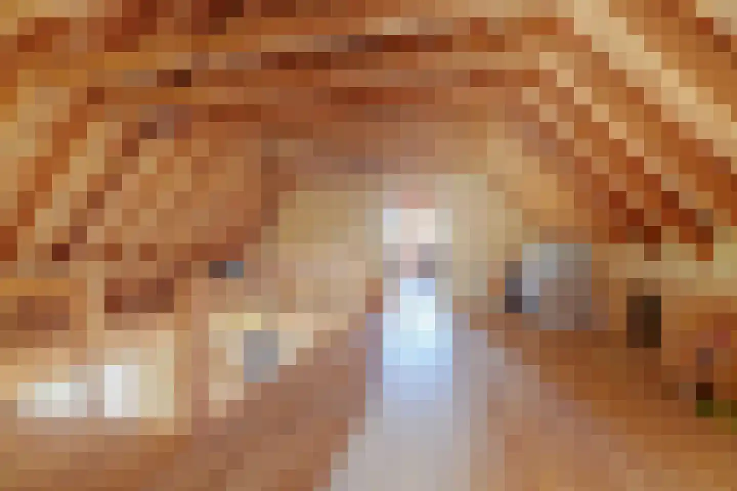 Valkhof 20 Ter Apel thumbnail 42