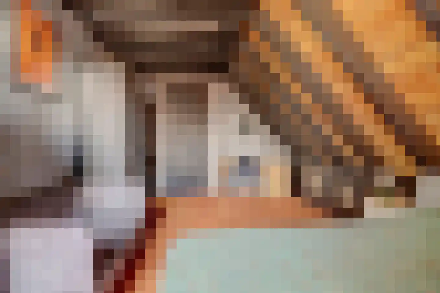 Valkhof 20 Ter Apel thumbnail 47