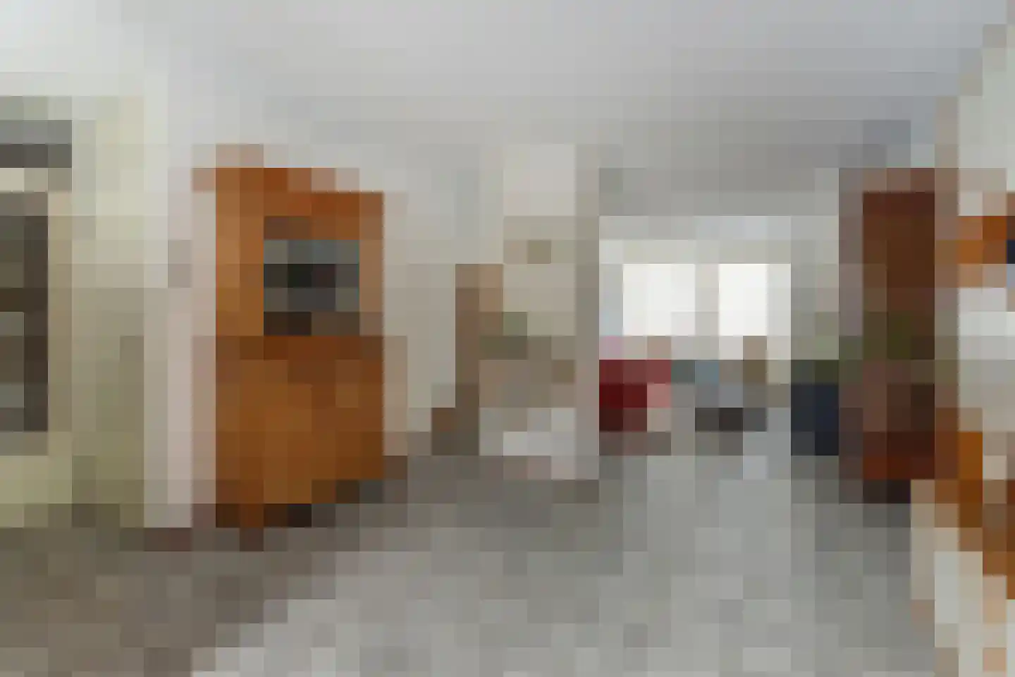 Valkhof 3 Hilvarenbeek thumbnail 11