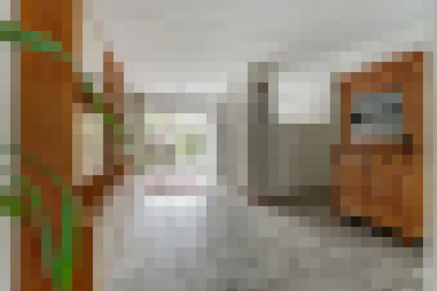 Valkhof 3 Hilvarenbeek thumbnail 12