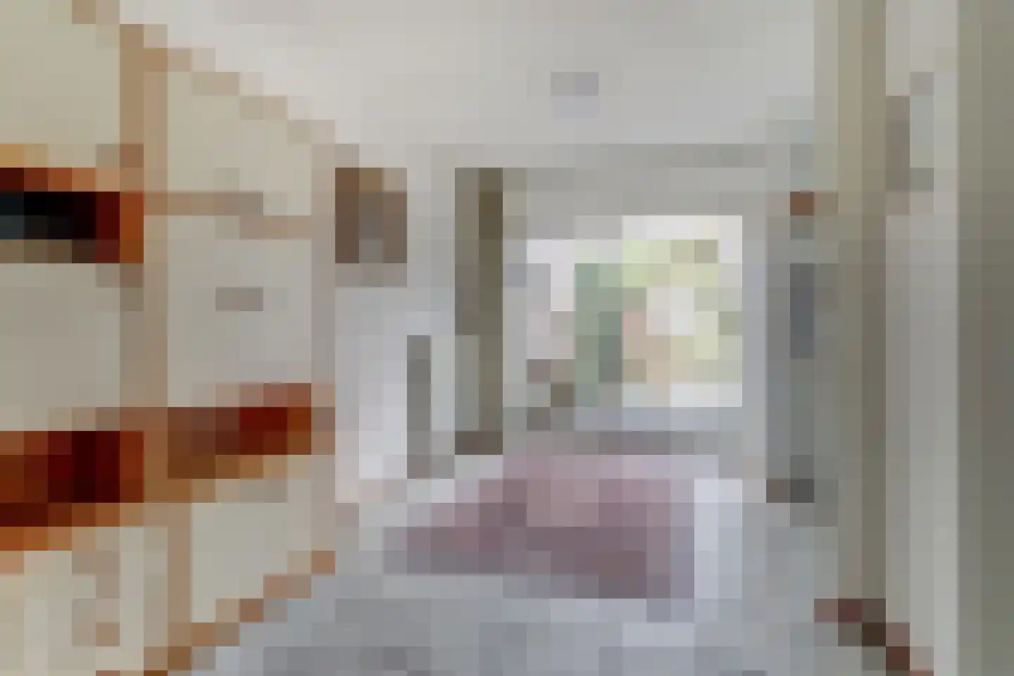 Valkhof 3 Hilvarenbeek thumbnail 13