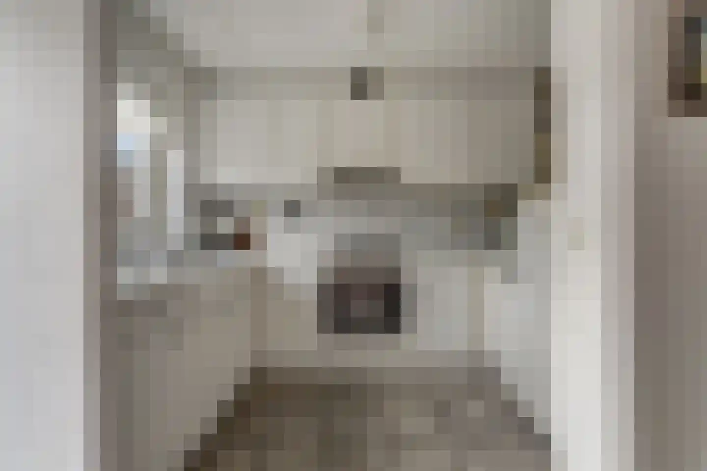 Valkhof 3 Hilvarenbeek thumbnail 15