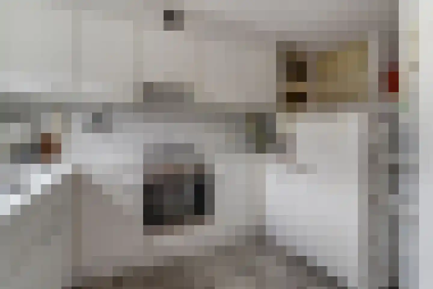 Valkhof 3 Hilvarenbeek thumbnail 16