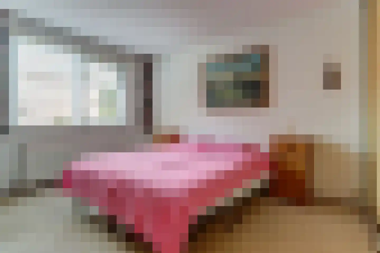 Valkhof 3 Hilvarenbeek thumbnail 18