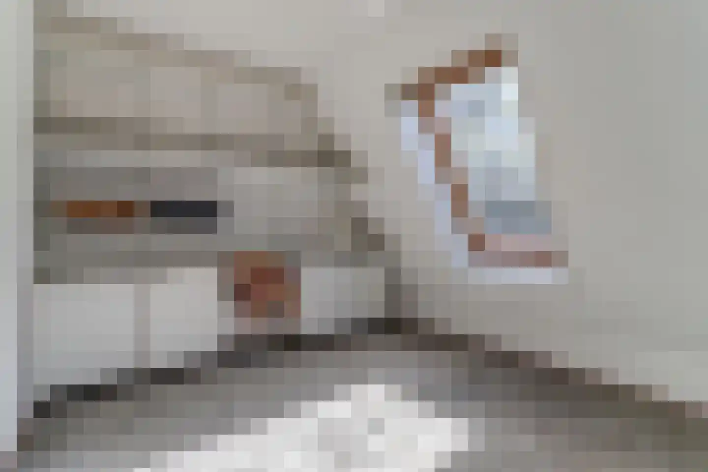 Valkhof 3 Hilvarenbeek thumbnail 23