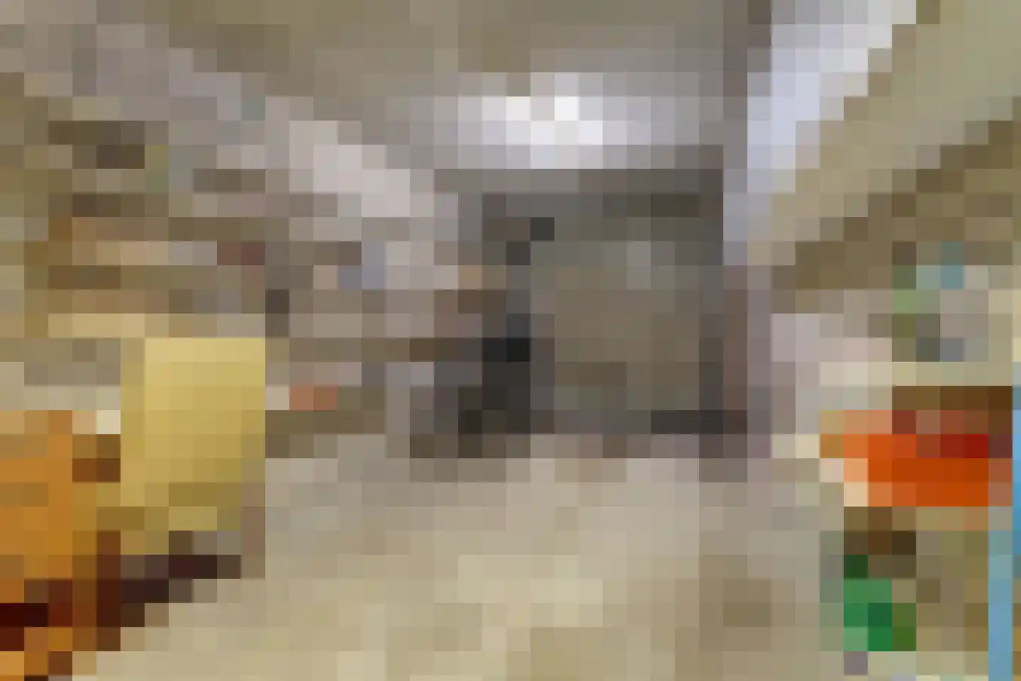 Valkhof 3 Hilvarenbeek thumbnail 30