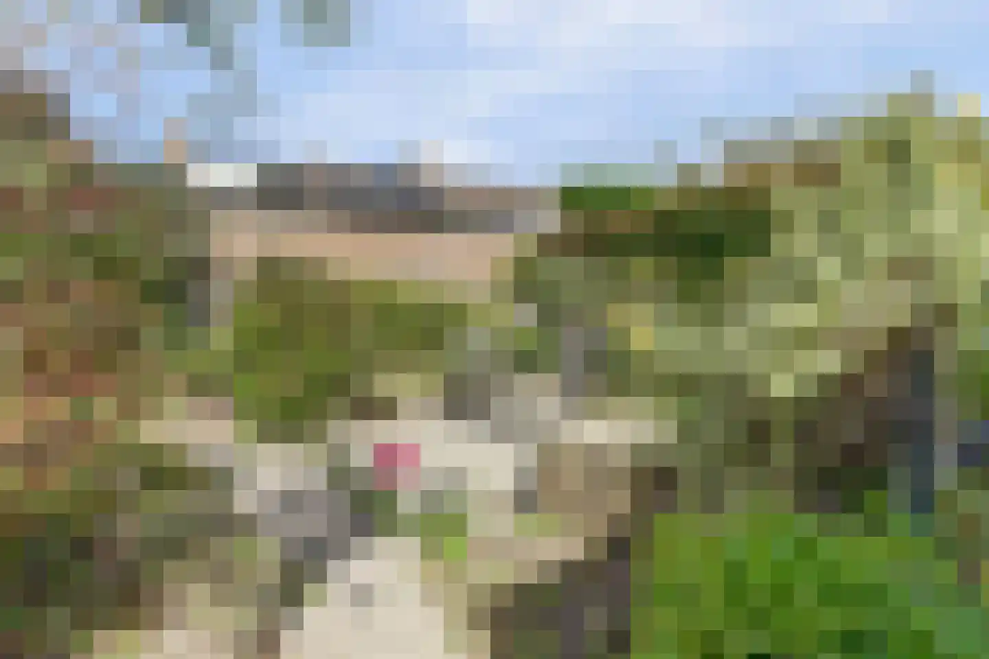 Valkhof 3 Hilvarenbeek thumbnail 32