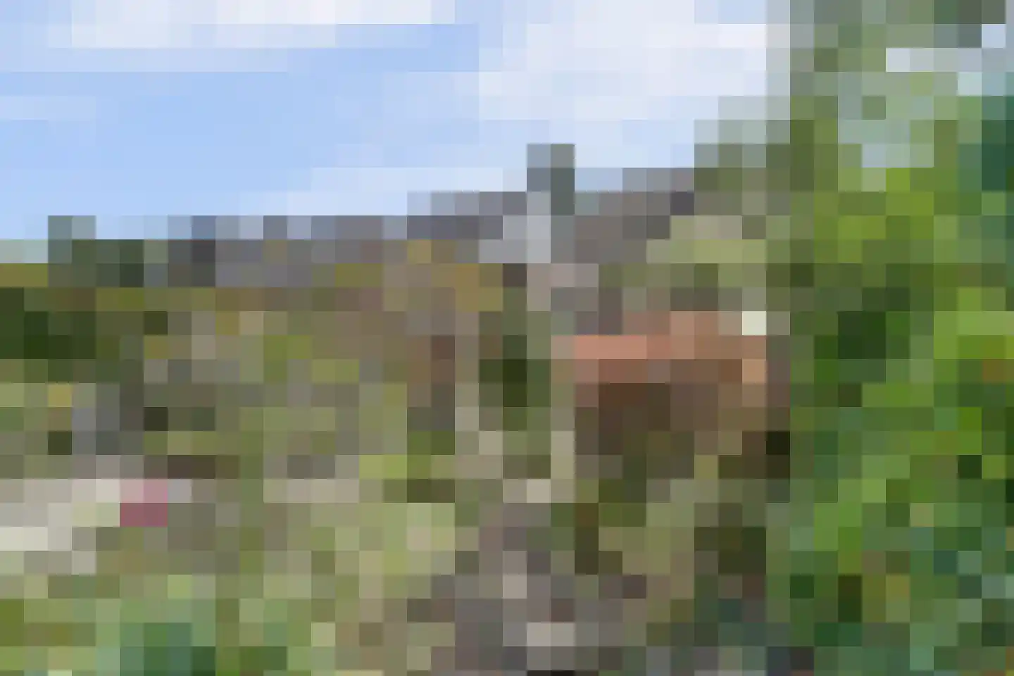 Valkhof 3 Hilvarenbeek thumbnail 5