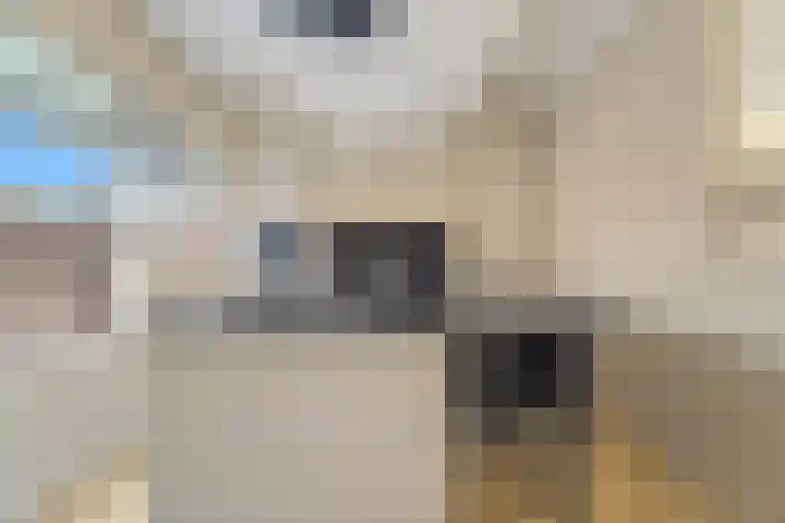Valkhof 3 Leidschendam thumbnail 11