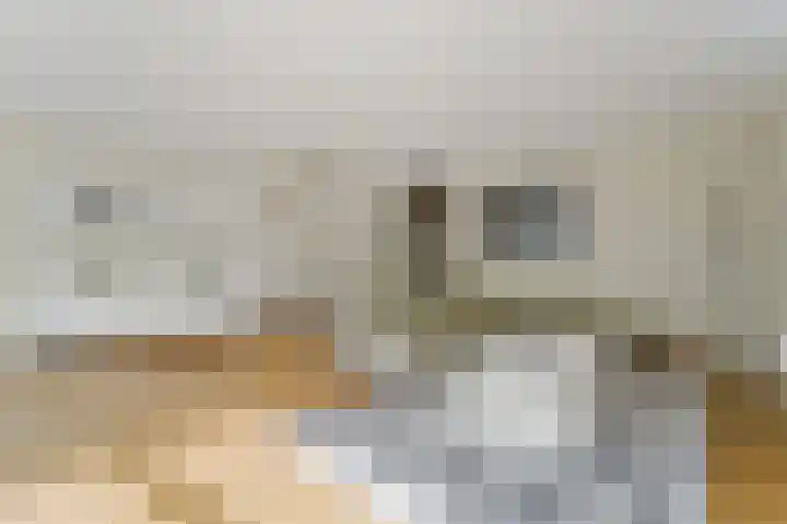 Valkhof 3 Leidschendam thumbnail 4