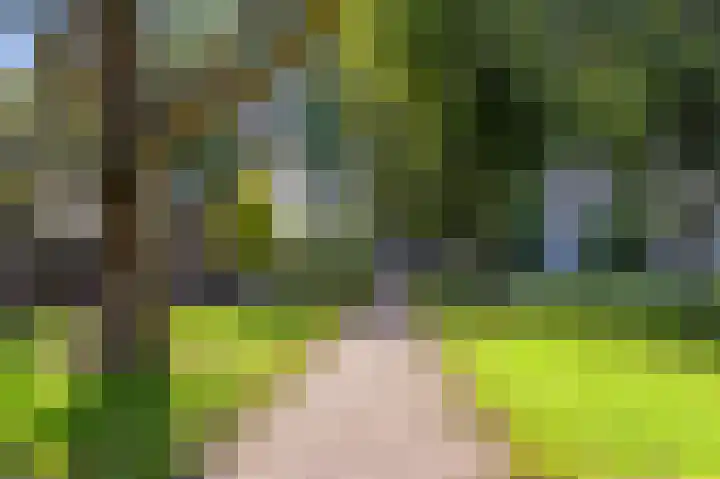 Valkhof 3 Leidschendam thumbnail 40