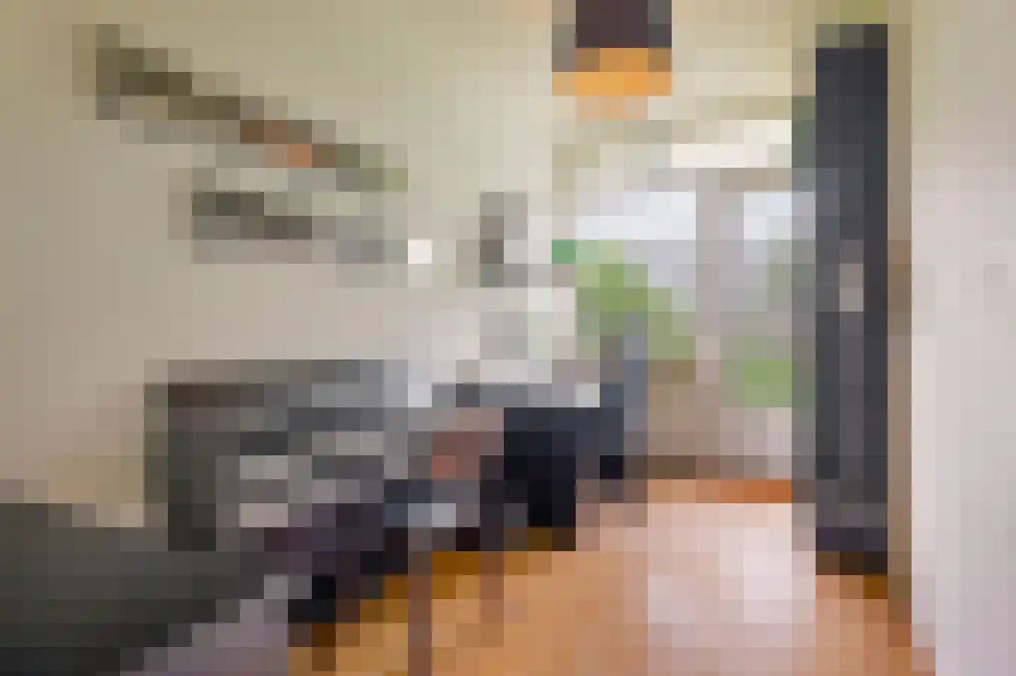 Valkhof 36 Amsterdam thumbnail 12