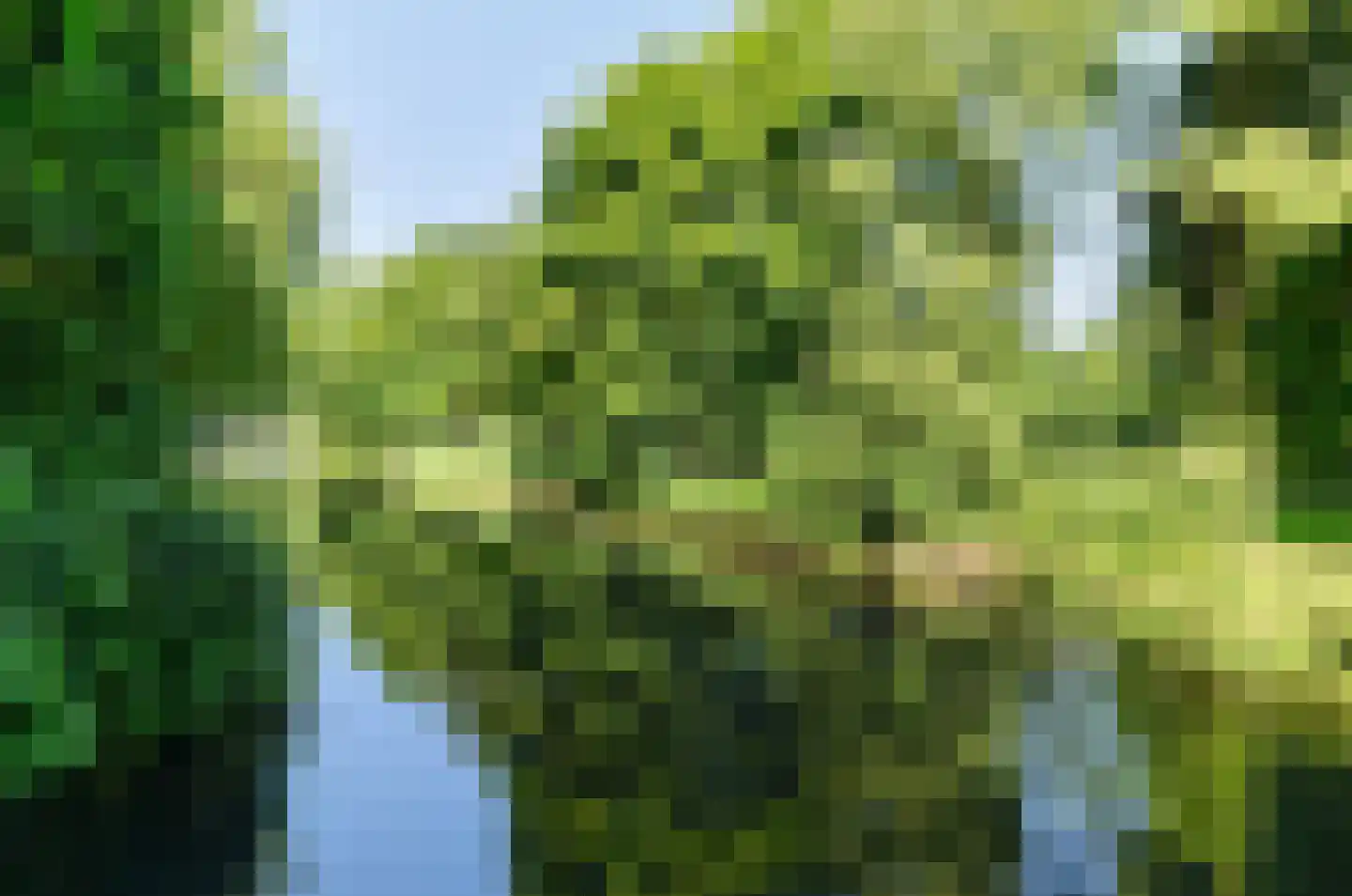 Valkhof 36 Amsterdam thumbnail 35
