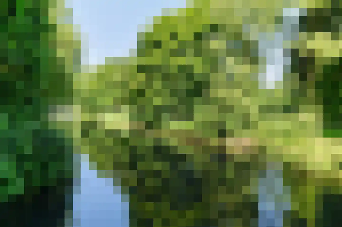 Valkhof 36 Amsterdam thumbnail 35