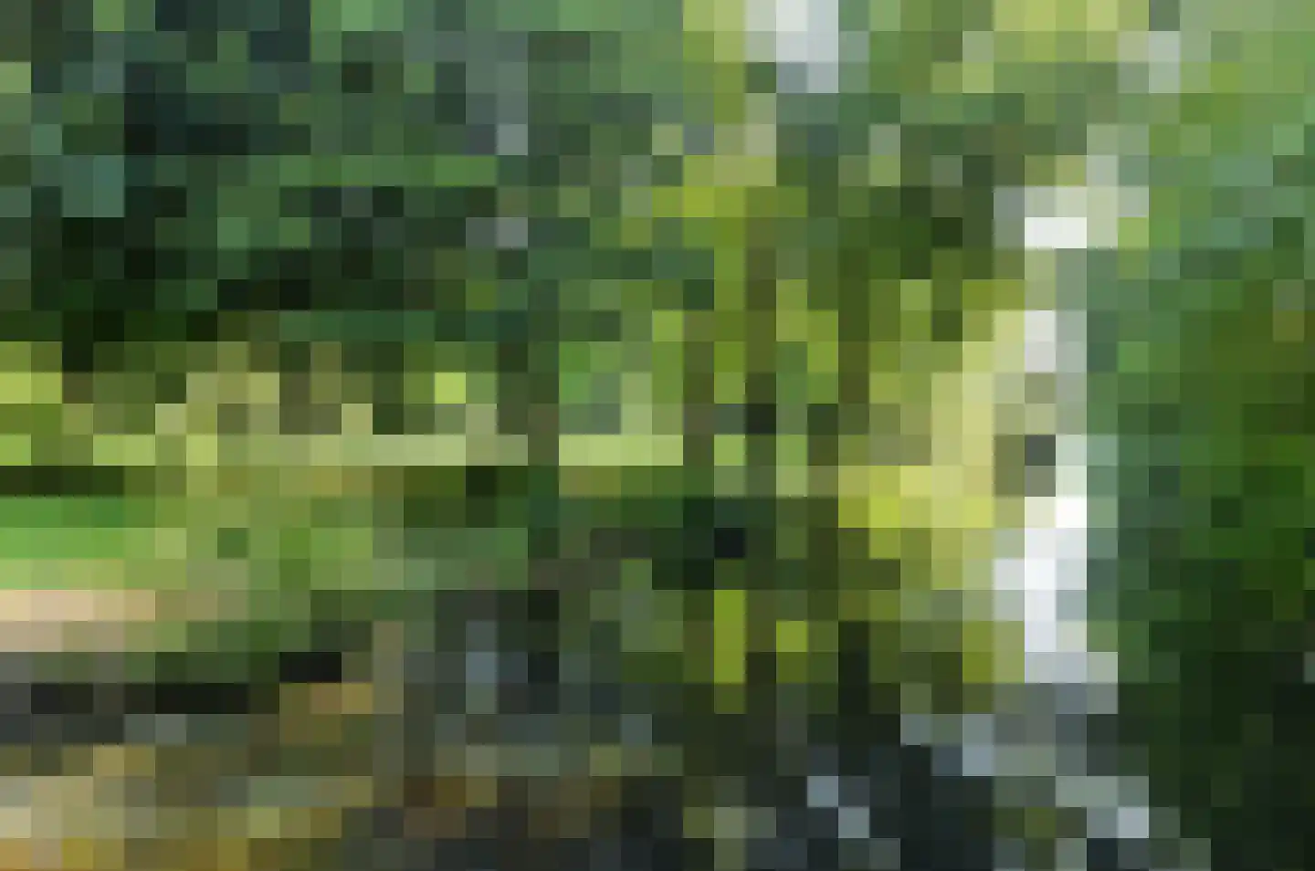 Valkhof 36 Amsterdam thumbnail 36