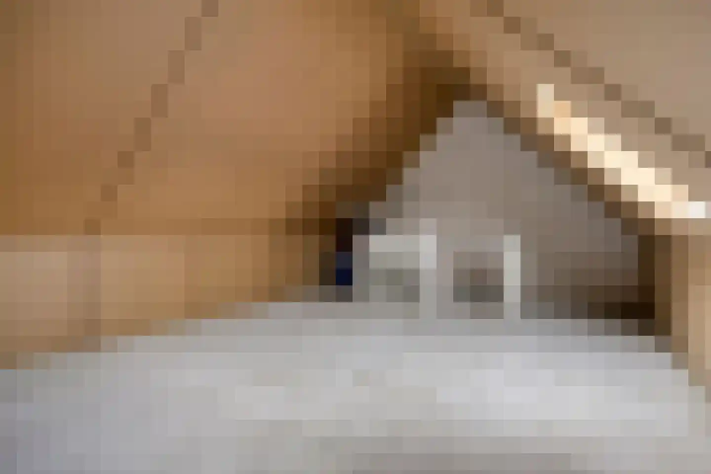 Valkhof 8 Ter Apel thumbnail 33