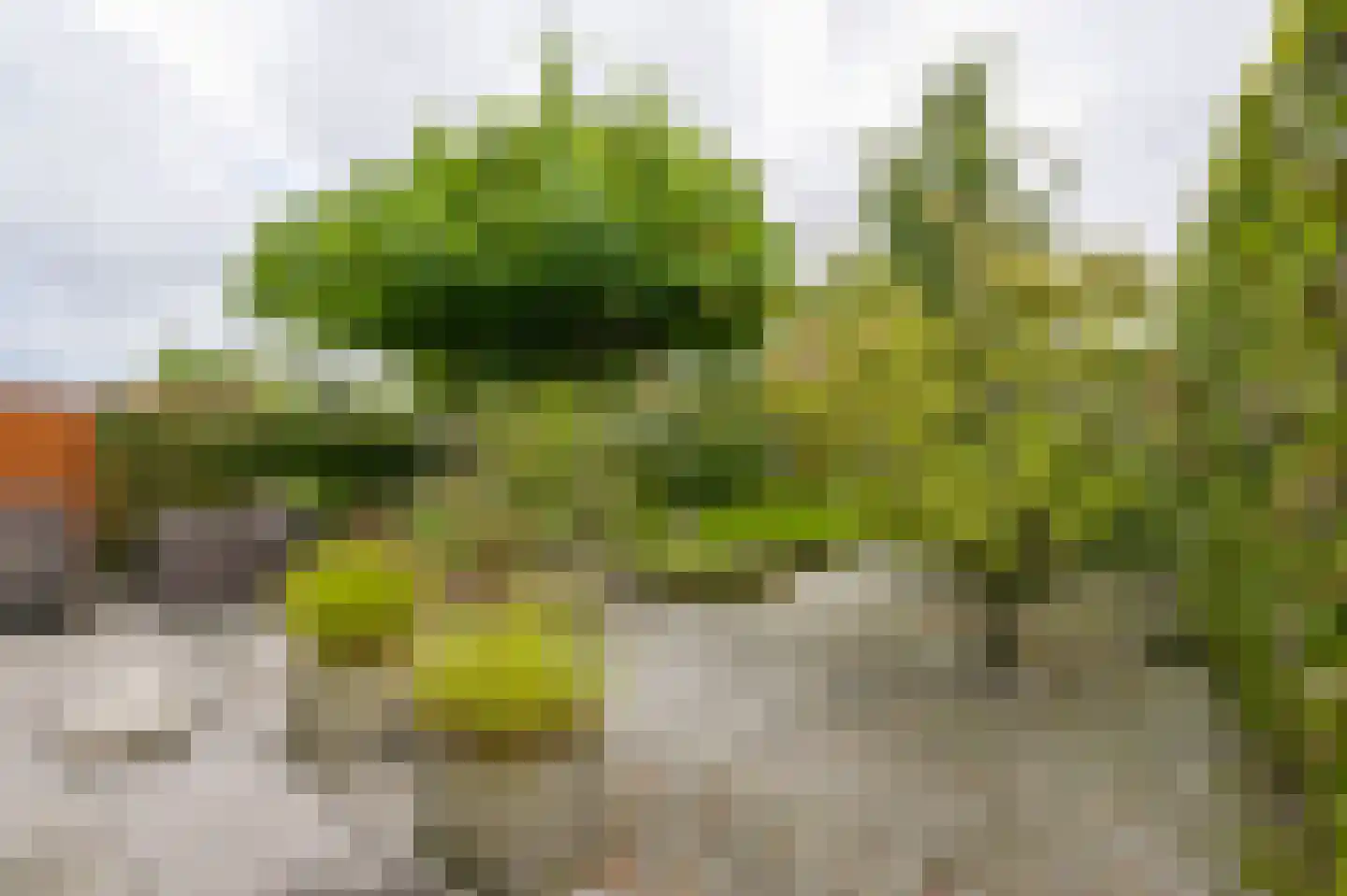 Valkhofpark 10 Assendelft thumbnail 32