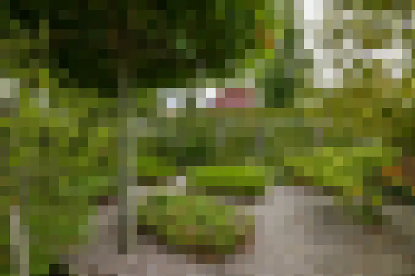Valkhofpark 10 Assendelft thumbnail 33