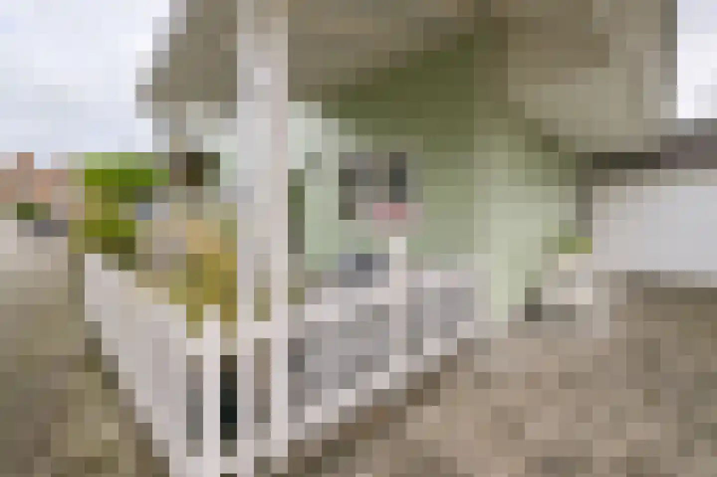 Valkhofpark 10 Assendelft thumbnail 35