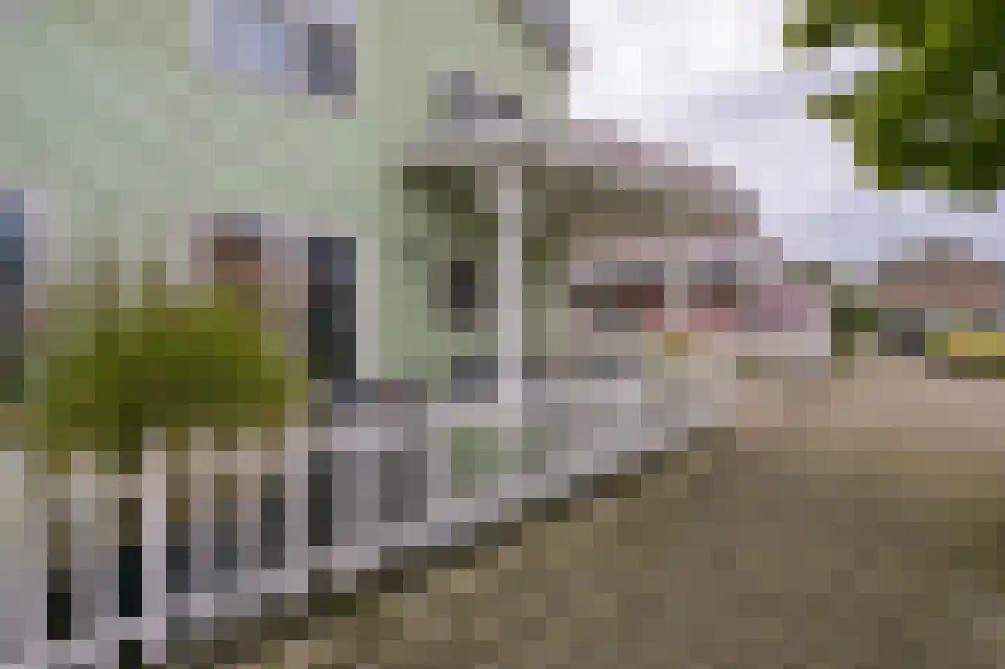 Valkhofpark 10 Assendelft thumbnail 36