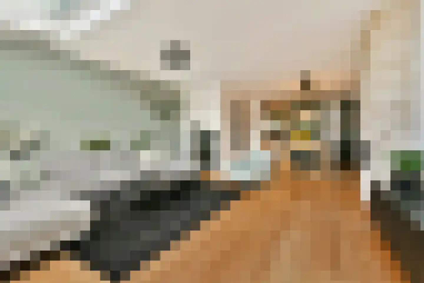 Valkhofpark 15 Assendelft thumbnail 12