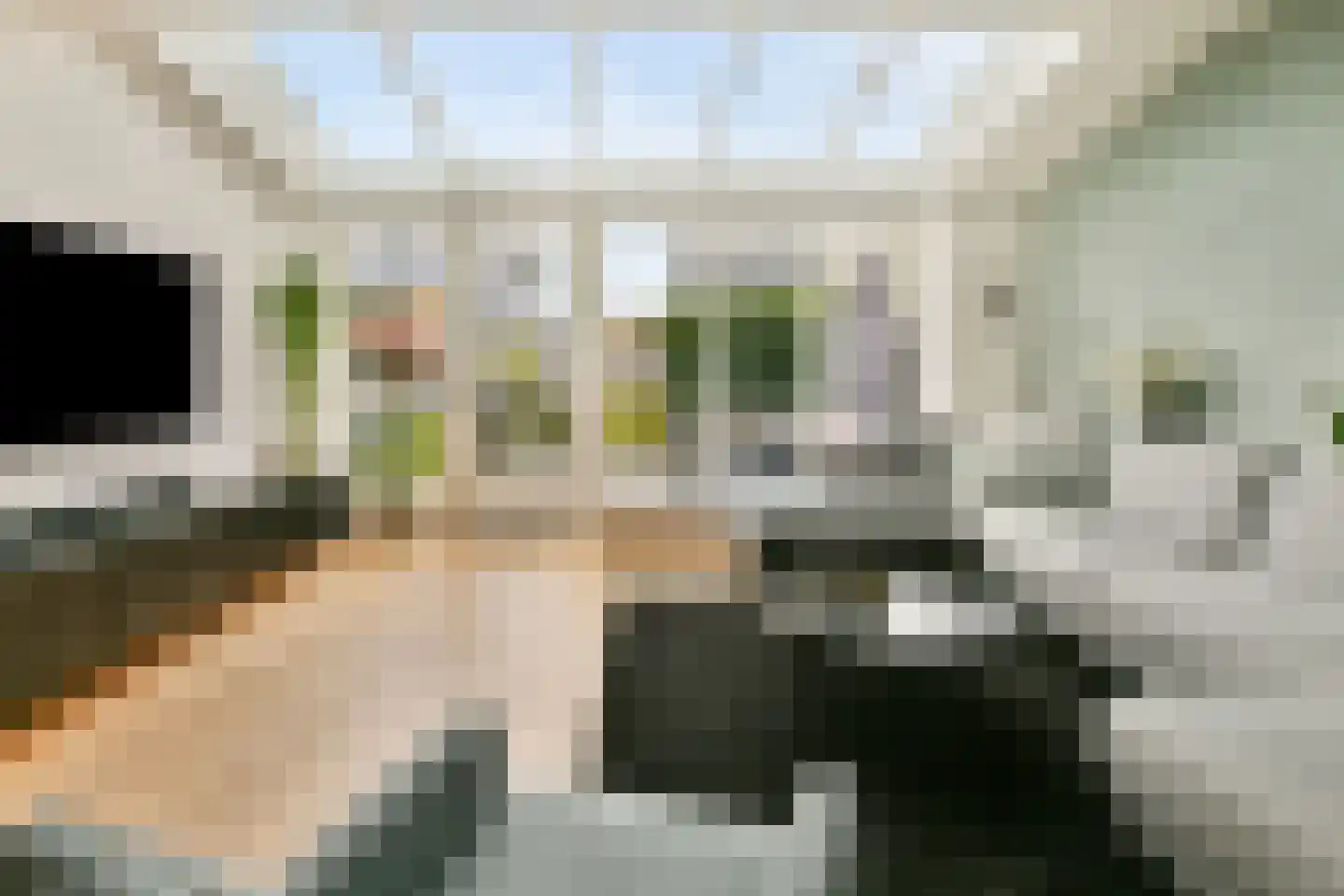 Valkhofpark 15 Assendelft thumbnail 14