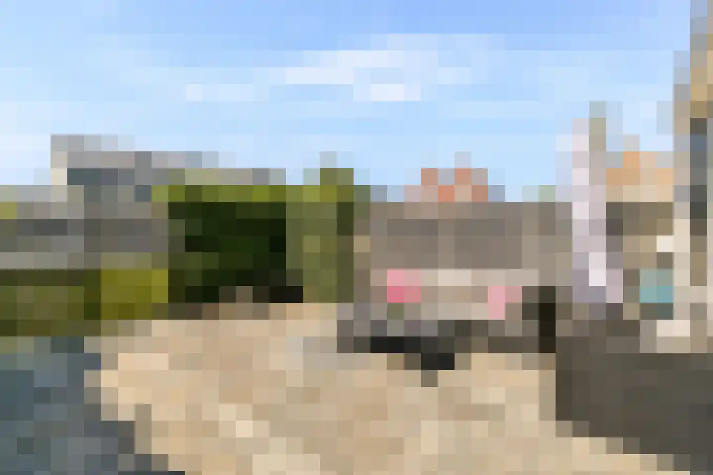 Valkhofpark 15 Assendelft thumbnail 15