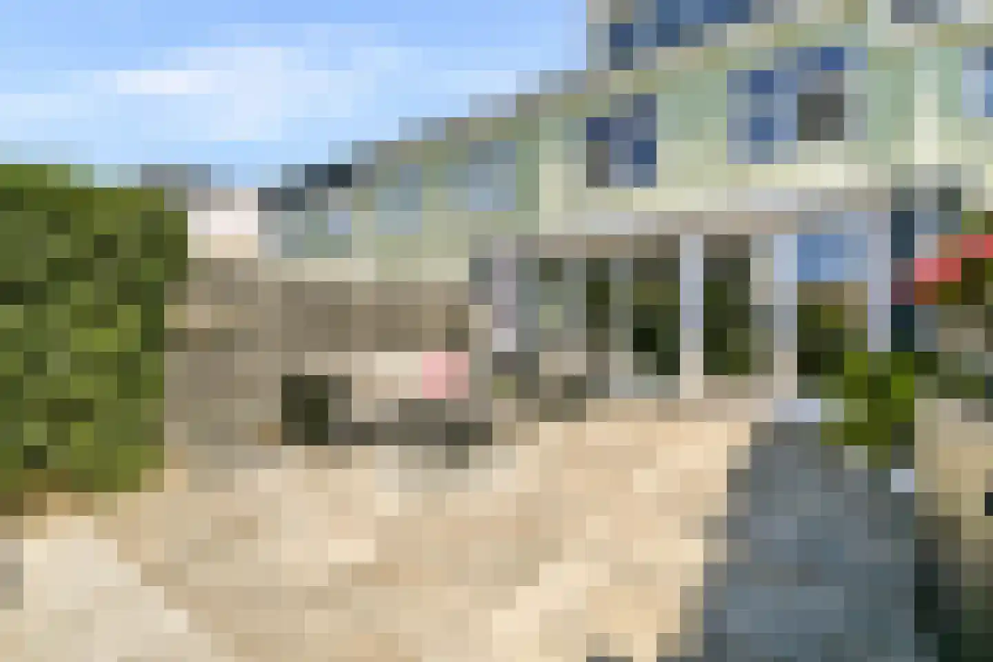 Valkhofpark 15 Assendelft thumbnail 17