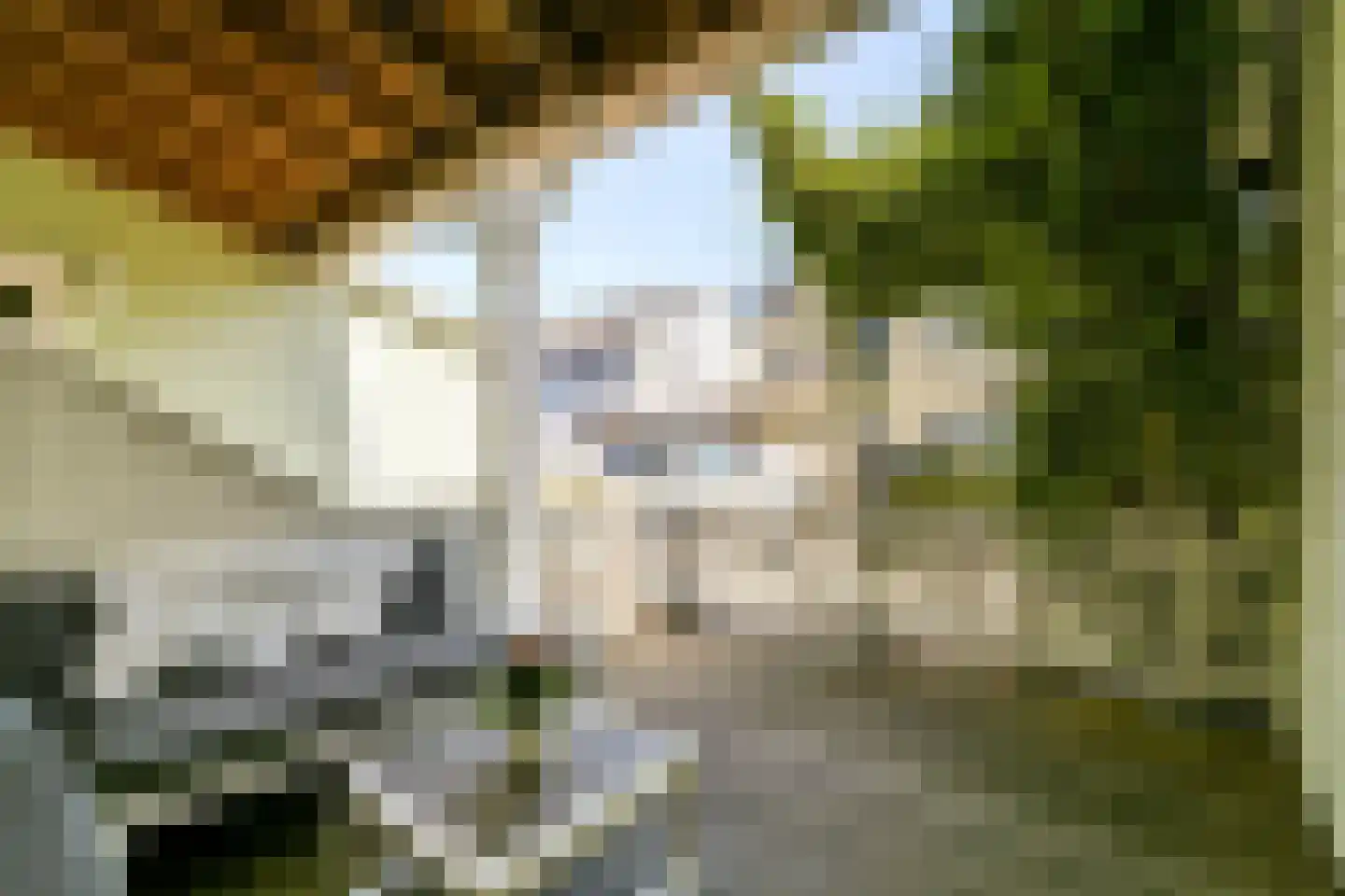 Valkhofpark 15 Assendelft thumbnail 5