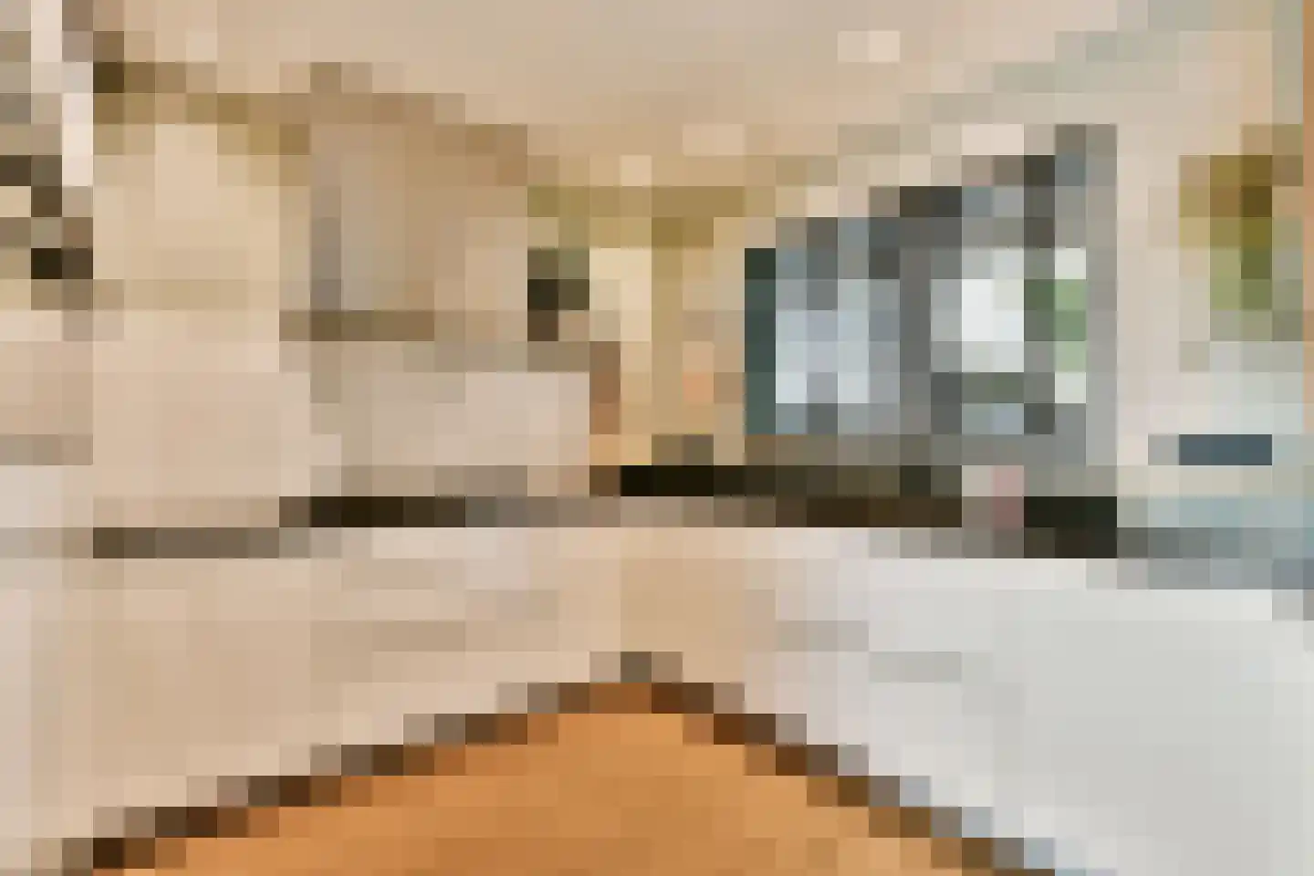 Valkhofpark 15 Assendelft thumbnail 7