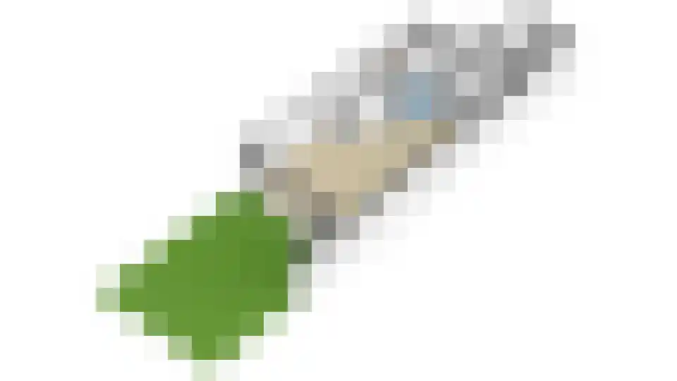 Valkhofpark 22 Assendelft thumbnail 55