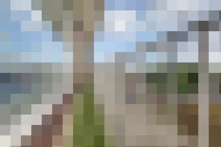 Valkhofplein 13 Arnhem thumbnail 37