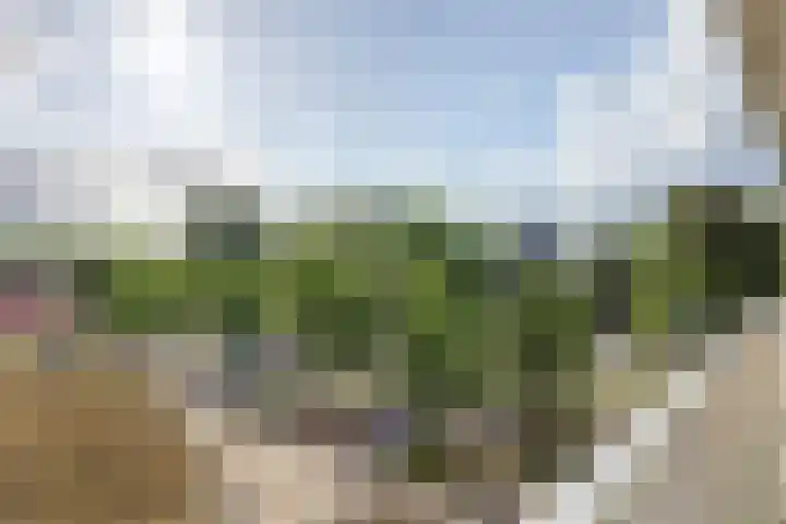 Valkhofplein 13 Arnhem thumbnail 40