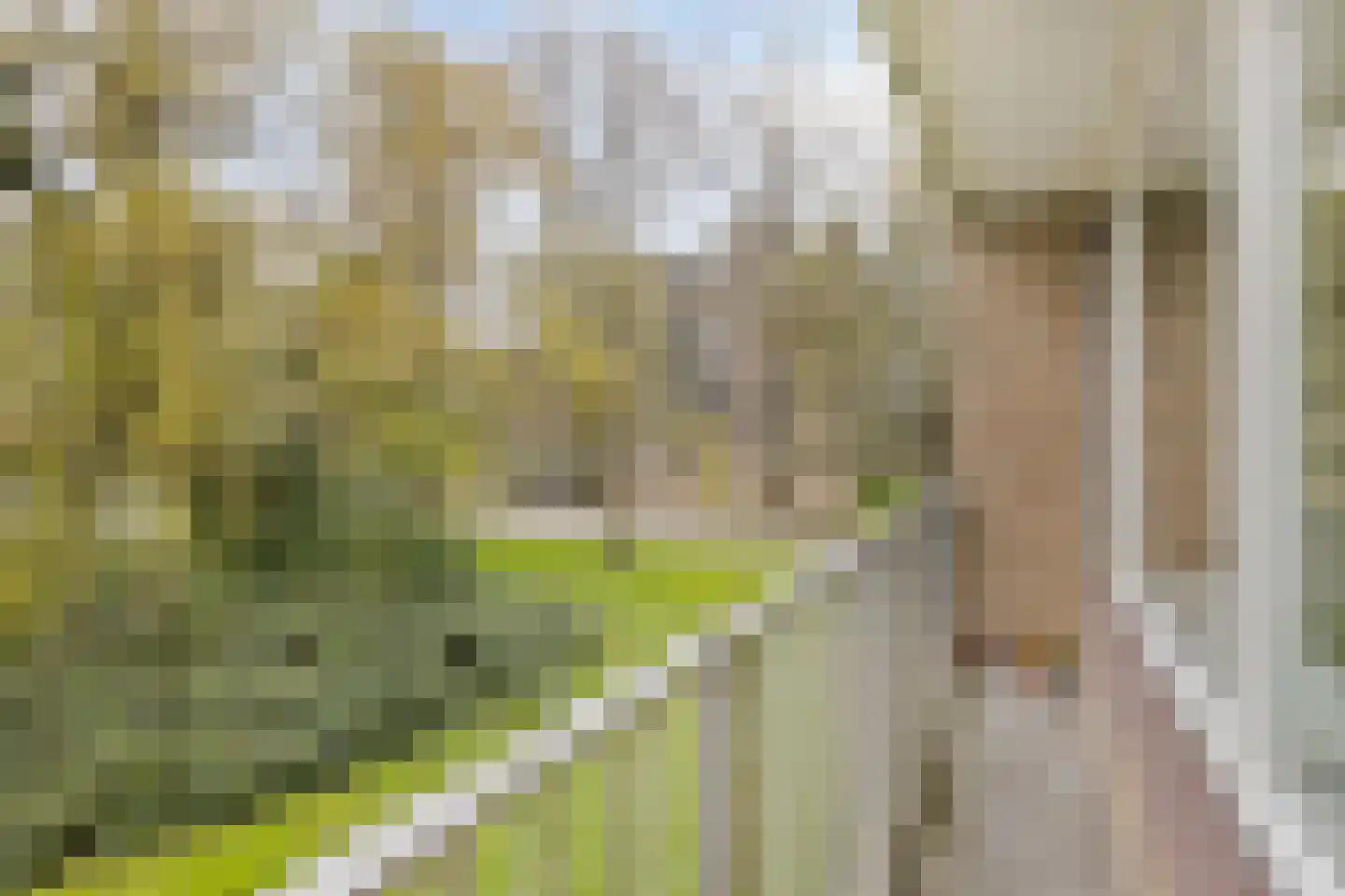 Valkhofplein 40 Arnhem thumbnail 31