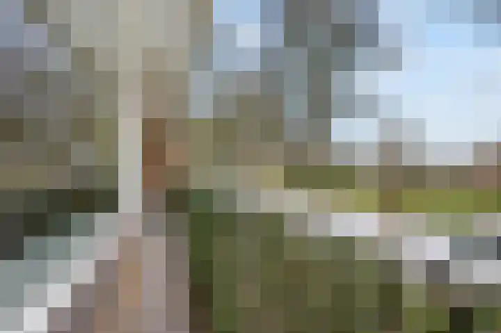 Valkhofplein 58 Arnhem thumbnail 4