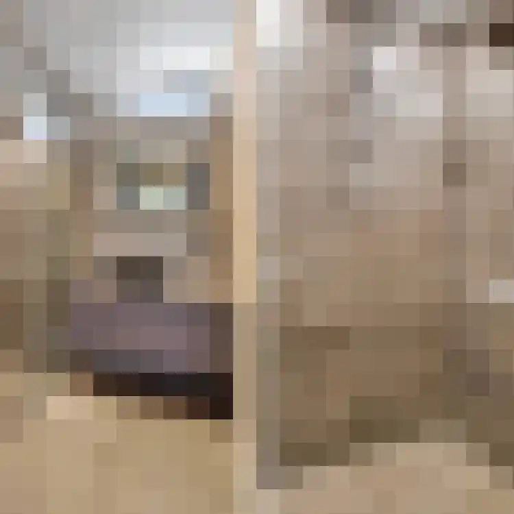 Valkhofplein 73 Arnhem thumbnail 23